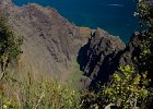 Awa'awapuhi Trail